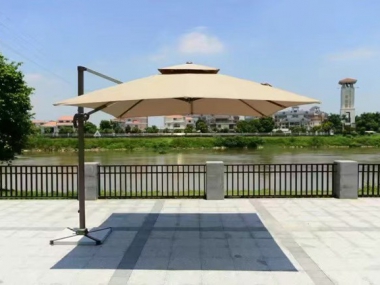 伞类