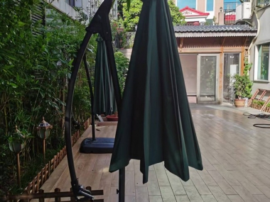 伞类